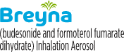 BREYNA (budesonide and formoterol fumarate dihydrate) Inhalation Aerosol home